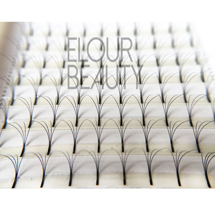 single individual eyelashes.jpg